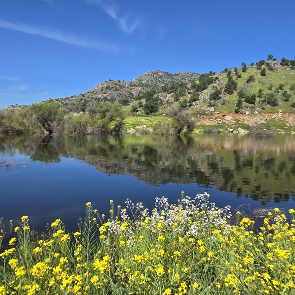 Meet your Posher, Kat - Picture 3 of 5